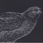 Eberhardt Press - Metallic Raven Notepad
