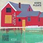 Knife Pleats - Hat Bark Beach