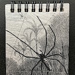 Eberhardt Press - Spider Notepad
