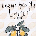 Jonny Nobody - Lessons from My Lemon (Plant)