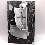 Danny Noonan, Meg L. - Publick Occurrences Both Forreign & Domestick