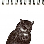 Eberhardt Press - Owl Notepad