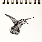 Eberhardt Press - Hummingbird Notepad