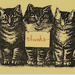 Hope Amico - Thank You Kittens Postcard